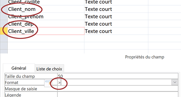 Format de champ de table Access pour afficher les textes en majuscules