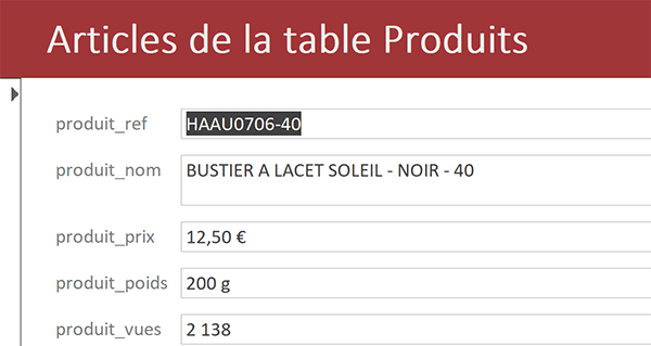 Aperçu des réglages du formulaire Access en mode exécution