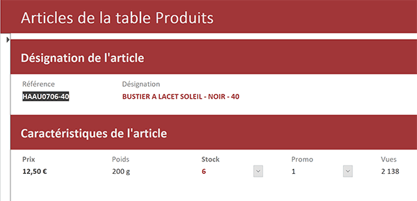 Organisation et mise en page du formulaire Access pour présenter les données à manipuler