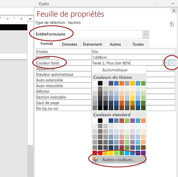 Choisir une couleur de fond personnalisée à appliquer sur en-tête formulaire Access