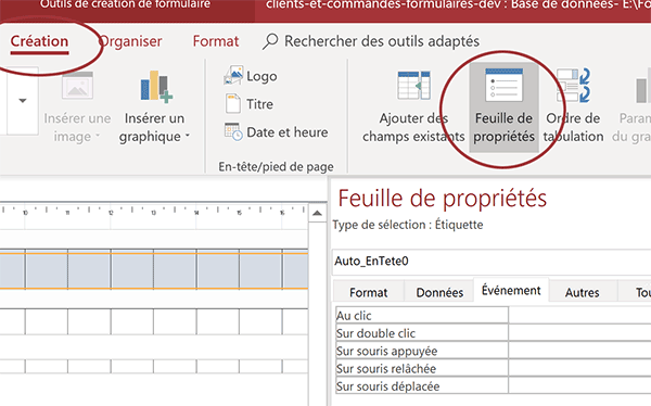 Feuille de propriétés des contrôles du formulaire Access pour réglages et apparence