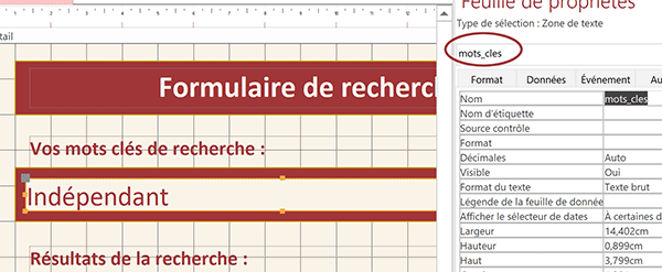 Propriété et nom de la zone de saisie pour les mots clés de recherche sur formulaire