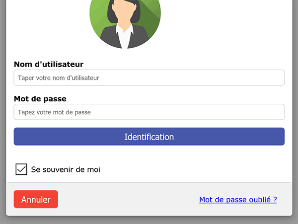 Etirer le bouton Html de login sur toute la largeur du formulaire d-identification Css