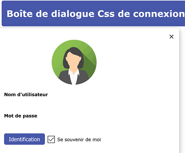 Formulaire identification à construire avec les styles Css et les propriétés Html