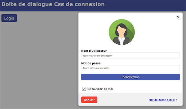 Formulaire Web d-identification Html et Css