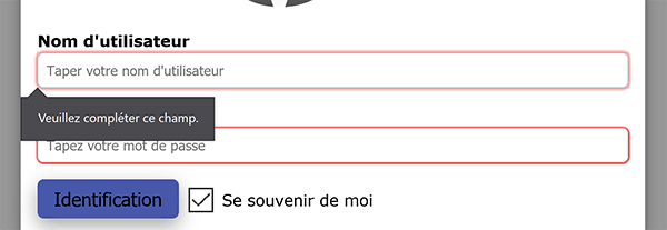 Soumission refusée car champs du formulaire non renseignés grâce aux propriétés Html