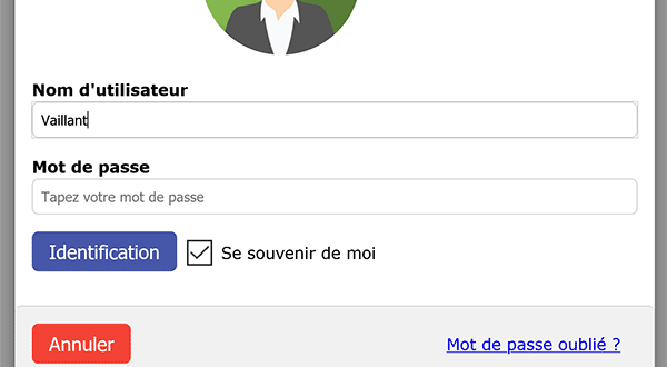 Attribut Html placeholder pour masquer le texte de guide à la saisie au début de la frappe