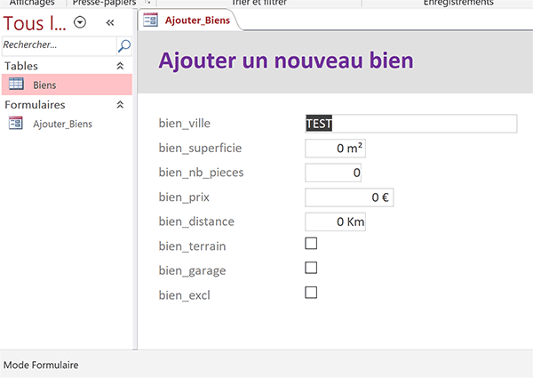 Formulaire Access épuré pour permettre création de nouveaux biens immobilier dans table de base de données