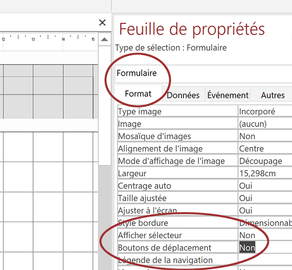 Propriétés pour masquer certains outils sur formulaire Access en mode exécution