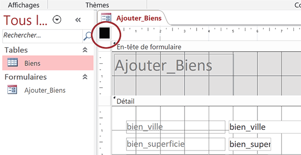 Sélectionner un formulaire Access en mode conception pour définir ses propriétés