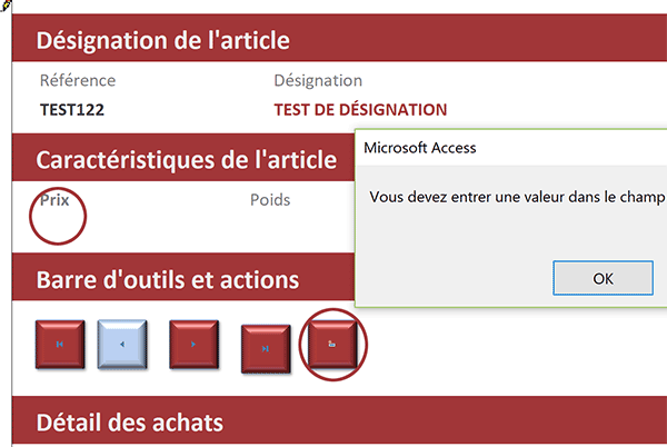 Déclenchement des règles de validité pour autoriser création nouvel enregistrement sur formulaire Access