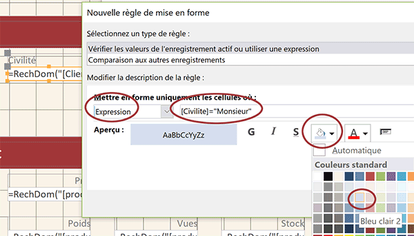 Repérer dynamiquement les hommes par une règle de mise en forme conditionnelle sur un formulaire Access