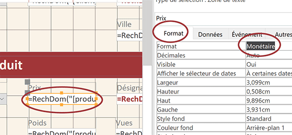 Appliquer le format monétaire à une zone de saisie numérique sur le formulaire Access
