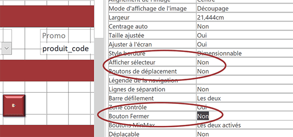 Attributs du formulaire Access pour masquer la barre de navigation et verrouiller la fermeture