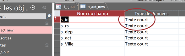 Champ de la clé primaire typé en texte court sans incrémentation automatique dans la table Access