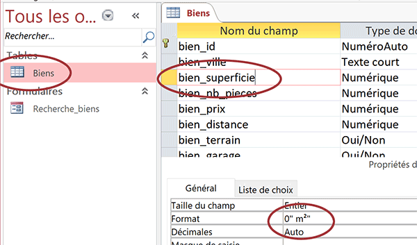 Typer, dimensionner et formater les champs de table de base de données Access