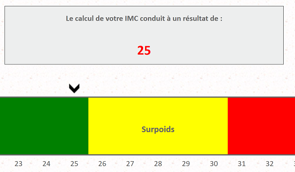 Application Internet Html, calcul indice de masse corporelle par le code Javascript