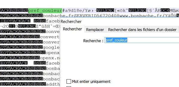 Traces des cookies créés par le code Javascript dans le fichier cookies.sqlite de Firefox