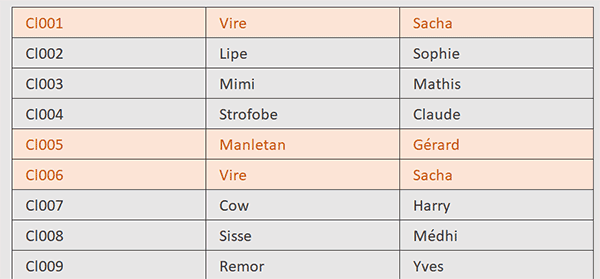 Faire ressortir automatiquement en couleur les homonymes dans un tableau Excel