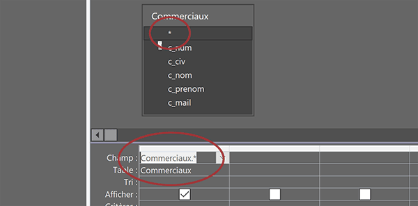 Ajouter tous les champs de la table Access dans la requête en une seule fois par double clic sur le symbole de l-etoile