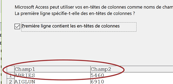 Assistant importation Access, intitulés de champs à renommer