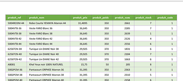 Edition dynamique des données Excel avec la fonction Decaler et ligne de titres répétée sur chaque page pour impression