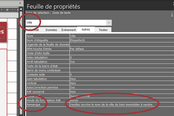 Attribut Remarque des contrôles de formulaires Access pour infobulles