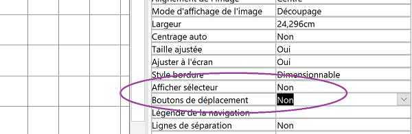 Masquer barre de déplacement et sélecteur du formulaire Access