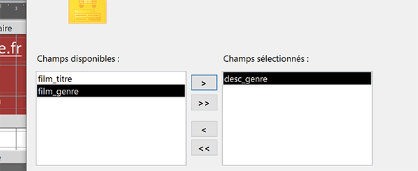 Définir le champ de la requête pour alimenter la liste déroulante du formulaire Access