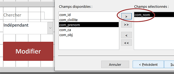 Définir le champ de recherche pour la liste déroulante du formulaire Access