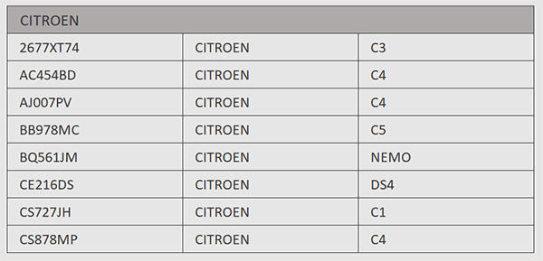 Tableau Excel des voitures immatriculées