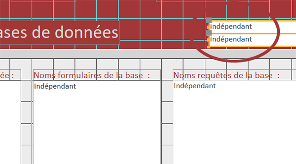 Zones de texte masquées sur formulaire Access pour stocker des informations en VBA