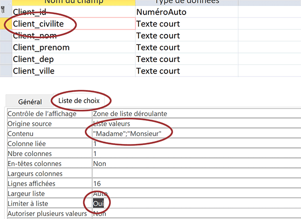 Réglages Access pour créer une liste déroulante manuelle et verrouillée