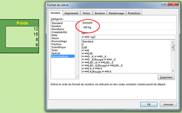 Création format numérique personnalisé avec Excel