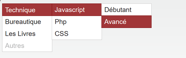 Menus Html avec plusieurs sous menus en cascade grâce au JQuery