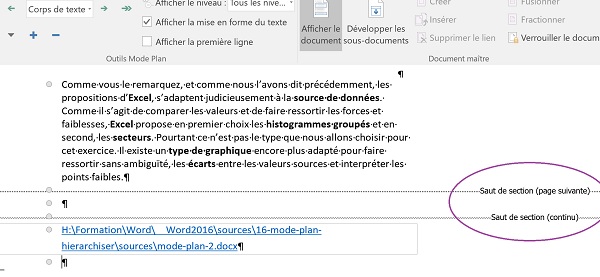 Affichage source externe en lien dans document Maître Word avec le Mode Plan