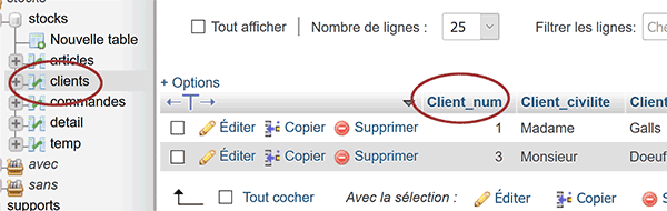 Champ de la clé primaire de la table MySql des clients pour réceptionner valeurs par code Php