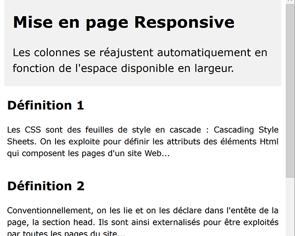 Page Web Mobile Friendly adaptée aux mobiles et smartphones grâce aux styles Css