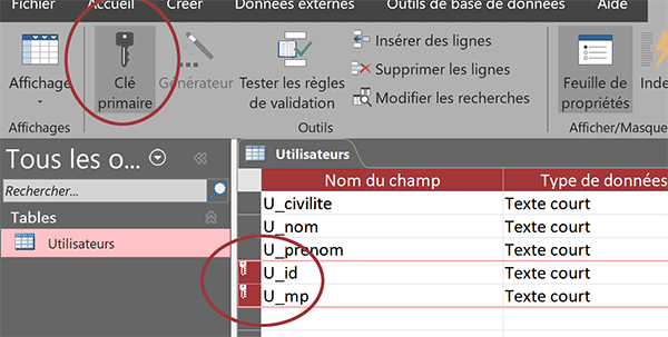 Double clé primaire Access pour paire de champs Identifiant et Mot de passe unique