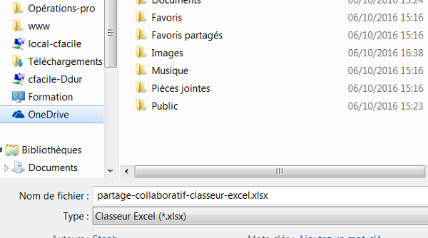 Partager avec autres personnes fichier Excel dans Cloud