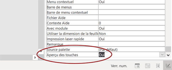 Propriété aperçu des touches de formulaire Access pour intercepter les raccourcis clavier par le code VBA