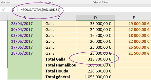 Fonction sous total Excel créée automatiquement avec le plan pour les données recoupées et synthétisées