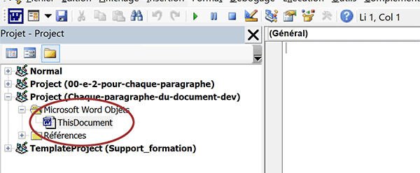 Feuille de code VBA du document Word actif