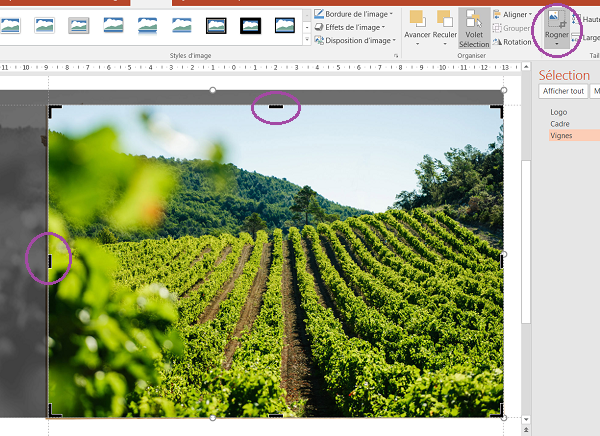 Rogner une photo dans Powerpoint pour supprimer parties image