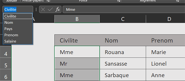 Noms des colonnes du tableau Excel à analyser