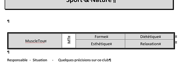 Tableau Word formaté et dimensionné