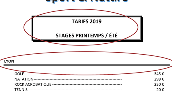 Mise en forme des paragraphes Word avec bordures spécifiques personnalisées