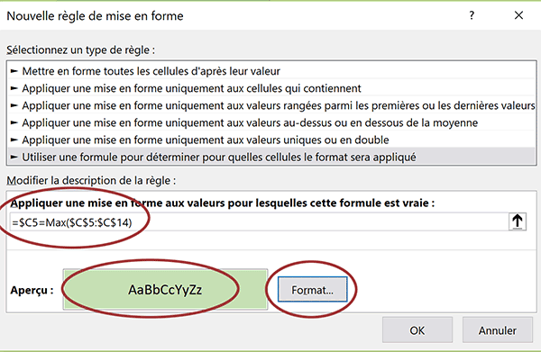 Couleur dynamique de remplissage pour repérer automatiquement les chiffres affaires calculés les plus grands