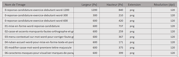 Récupérer les images et leurs propriétés en VBA Excel