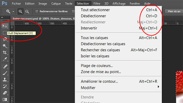 Infobulles des raccourcis clavier dans Photoshop